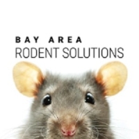 Bay Area Rodent Solutions