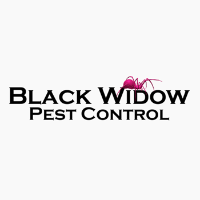 Brands,  Businesses, Places & Professionals Black Widow Pest Control in Loveland CO