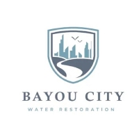 Brands,  Businesses, Places & Professionals Bayou City Water Restoration in Katy TX