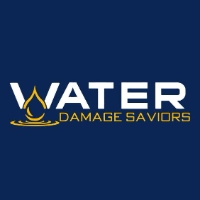 Brands,  Businesses, Places & Professionals St. Louis Water Damage Saviors in St. Louis MO