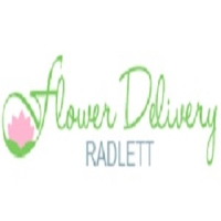 Brands,  Businesses, Places & Professionals Flower Delivery Radlett in 102 Watling St Radlett, Hertfordshire WD7 7AB 