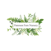 Paterson Fern Nursery