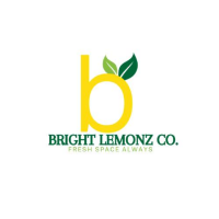 BRIGHT LEMONZ CO. Property Solution