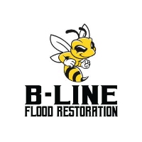 Brands,  Businesses, Places & Professionals B-Line Flood Restoration in McKinney TX