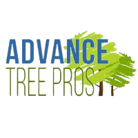 Advance Tree Pros