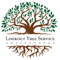 Lookout Tree Service Chattanooga