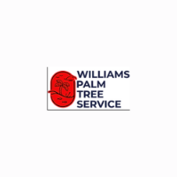 Brands,  Businesses, Places & Professionals Williams Palm Tree Service LLC in Hinesville GA