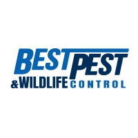 Best Pest & Wildlife Control