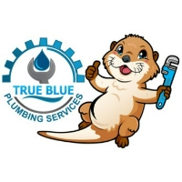 Brands,  Businesses, Places & Professionals True Blue Plumbing Services in Snellville 