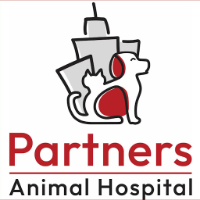 Partners Animal Hospital Greenville