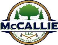 Brands,  Businesses, Places & Professionals McCallie's LLC in Somerset 