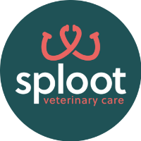 Brands,  Businesses, Places & Professionals Sploot Veterinary Care - Golden Triangle in Denver 