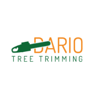 Brands,  Businesses, Places & Professionals Dario Tree Trimming in Sylmar CA213-377-6866 