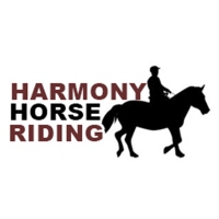 Harmony Horse Riding Of South Beach