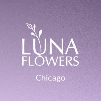 Brands,  Businesses, Places & Professionals Luna Flowers in Chicago 