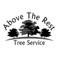 Brands,  Businesses, Places & Professionals Above The Rest Tree Service in South Daytona 