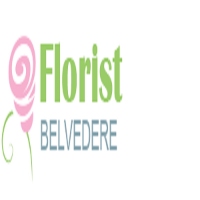 Brands,  Businesses, Places & Professionals Belvedere Florist in Belvedere, greater London ,  DA17 5JF 