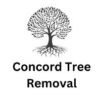 Brands,  Businesses, Places & Professionals Concord Tree Removal in St Concord, NH 