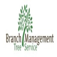 Brands,  Businesses, Places & Professionals AZ Tree Doctor in Scottsdale 