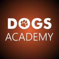 Brands,  Businesses, Places & Professionals Dogs Academy in Madera 