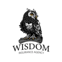 Brands,  Businesses, Places & Professionals Wisdom Insurance in Pewaukee, WI 