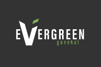 Evergreen Gavekal