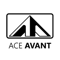 Brands,  Businesses, Places & Professionals Ace Avant Concrete Construction Raleigh in Raleigh 