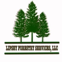 Brands,  Businesses, Places & Professionals Lipsey Forestry Services, LLC in Louisville 