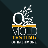 O2 Mold Testing of Baltimore Company Logo by Ben Butler in Baltimore MD