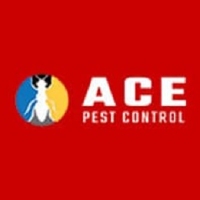 Ace Pest Control Company Logo by Ace Pest Control in Avoca Beach NSW