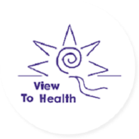 View to Health Company Logo by View to Health in Balmain NSW