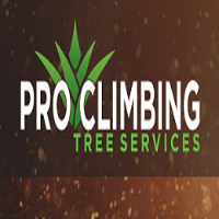 Pro Climbing Tree Services Company Logo by Pro Climbing Tree Services in Newport NSW