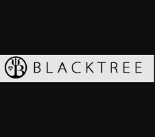 Blacktreelab Company Logo by Blacktreelab Lab in Gianyar Bali