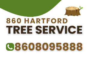 860 Hartford Tree Service Company Logo by alton boyd in Hartford CT