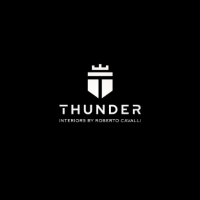 Thunder Yacht Company Logo by Thunder Yacht in Dubai Dubai