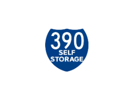 390 Self Storage Company Logo by 390 Self Storage in Rochester 