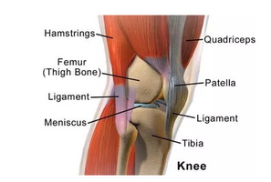 Knee Pain Treatment Specialists