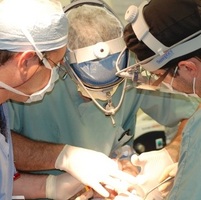 Affordable Tooth Implants Melbourne - Dental Implants Professionals
