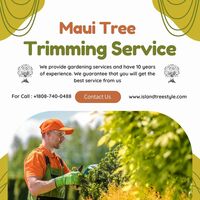 Tree Trimming Services in Maui