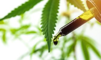 Latest CBD Research USA - Grow Marijuanas