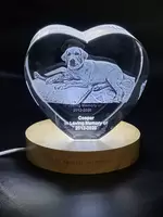 Pet Personalized 3D Crystal - Customizable Sizes & Shapes