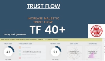 Trust Flow 40+  SEO Plan