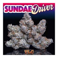 jungle boys sundae driver