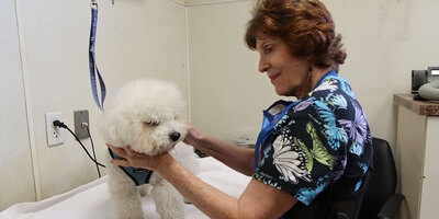 Veterinary Services You’ll Receive at Our Practice