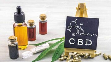 CBD Blog & News - THE CBD BLOGS