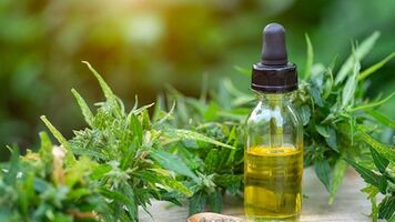 Benifits CBD Oil