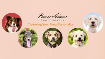 Bruce Adams Photography