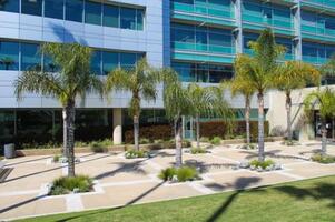 Southern California Tree & Landscape