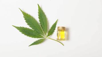 CBD Research News - Marijuana Moment