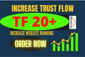 Trust Flow 20+  SEO Plan